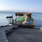 Meteor Тургутрейс