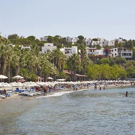 Meteor トゥルグトレイス