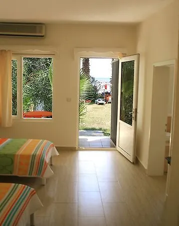 Meteor トゥルグトレイス