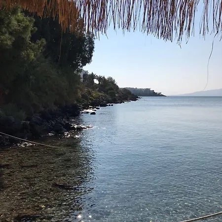 Meteor トゥルグトレイス