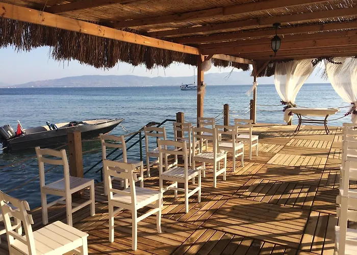 Meteor