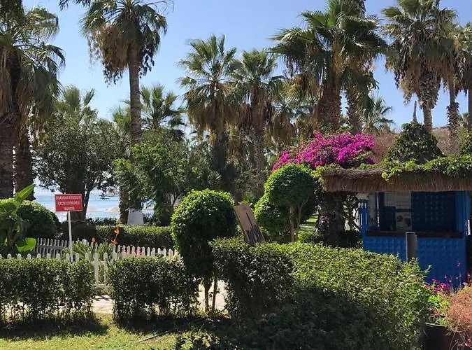 Meteor Hotel 4*