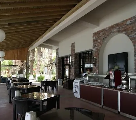 Meteor تورغوتْريس