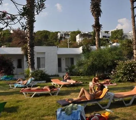 Meteor تورغوتْريس