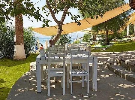 Meteor تورغوتْريس